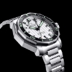 Picture of WALDHOFF Seawolf Automatic Silver Dial Men's Watch