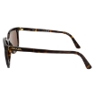 Picture of PRADA Brown Pillow Ladies Sunglasses