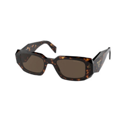 Picture of PRADA Brown Rectangular Ladies Sunglasses