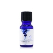 Picture of NATURAL BEAUTY Ladies Spice Of Beauty Essential Oil 0.3 oz Brightening Face Oil Skin Care