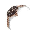 Picture of EDOX SkyDiver Quartz Brown Dial Men's Watch