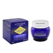 Picture of L'OCCITANE Ladies Immortelle Precious Overnight Mask 1.7 oz Skin Care