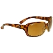 Picture of RAY-BAN Polarized Brown Classic B-15 Rectangular Ladies Sunglasses