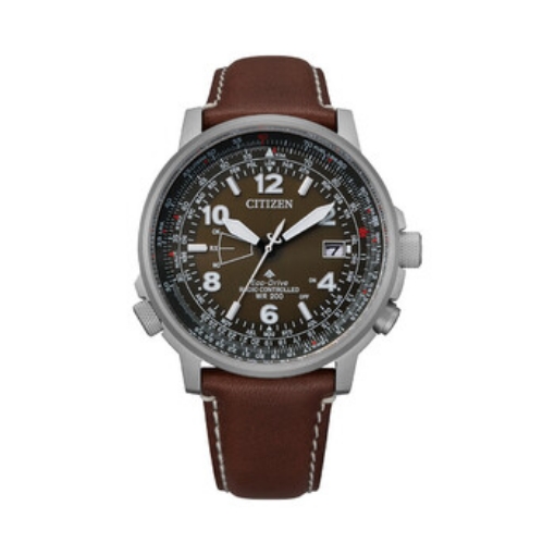 Picture of CITIZEN Eco-Drive Promaster Sky Perpetual World Time Brown Dial Men's Watch