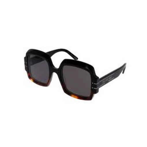 Picture of DIOR Grey Butterfly Ladies Sunglasses