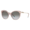 Picture of TIFFANY & CO. Grey Gradient Cat Eye Ladies Sunglasses