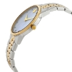 Picture of MOVADO Museum Classic Quartz Diamond Ladies Watch