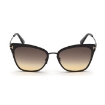 Picture of TOM FORD Faryn Smoke To Yellow Gradient Cat Eye Ladies Titanium Sunglasses