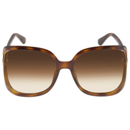 Picture of JIMMY CHOO Brown Butterfly Ladies Sunglasses