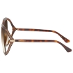 Picture of JIMMY CHOO Brown Butterfly Ladies Sunglasses