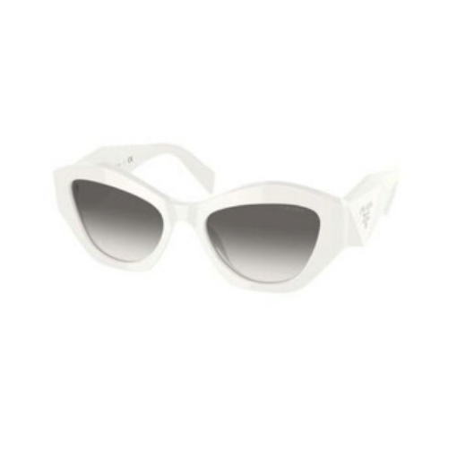 Picture of PRADA Grey Gradient Cat Eye Ladies Sunglasses